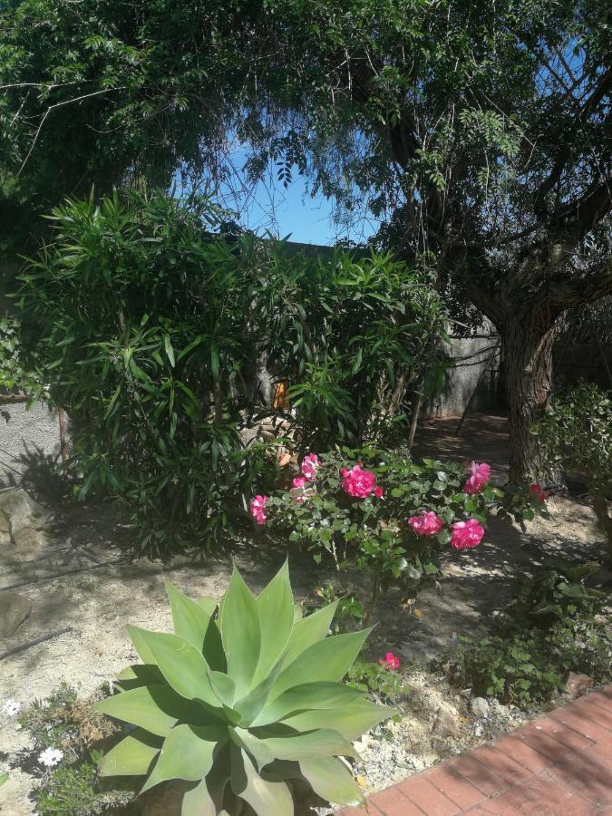 Vallonga Finca San Diego, Villa Entera Para Ti المظهر الخارجي الصورة