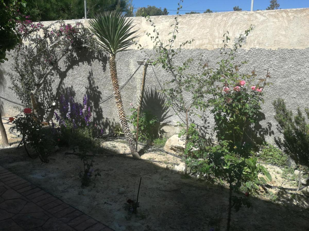 Vallonga Finca San Diego, Villa Entera Para Ti المظهر الخارجي الصورة